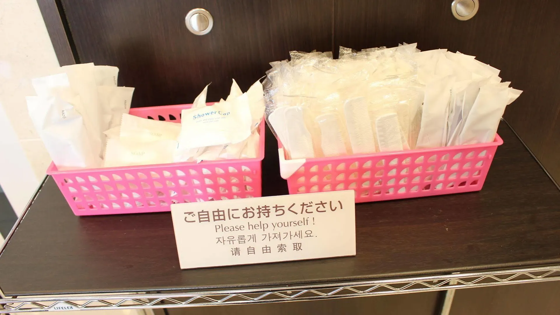 Toyoko Inn Kyoto Shijo-Karasuma 3*,  日本